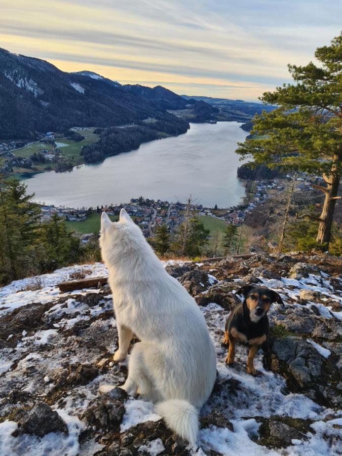 Ferienhaus Gerlach Hintersee Zewnętrze zdjęcie